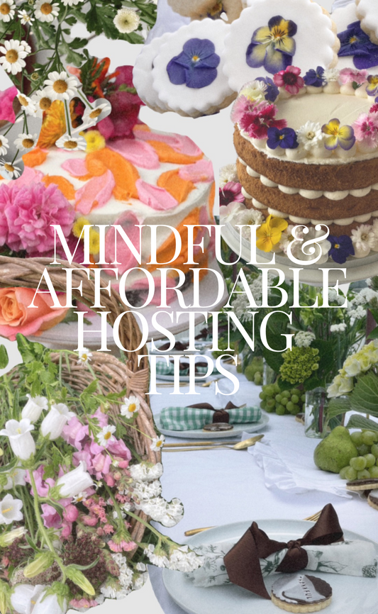 Mindful and Affordable Hosting Tips