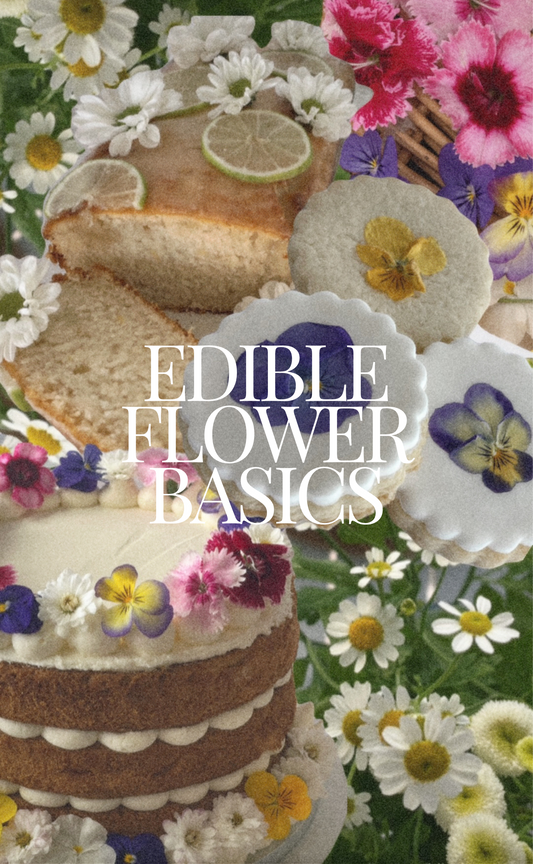 Edible Flower Basics