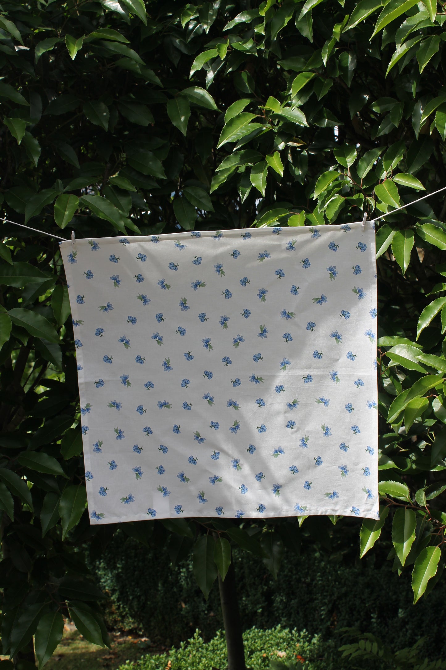 Blue Cottage Floral Napkins - Set of 2